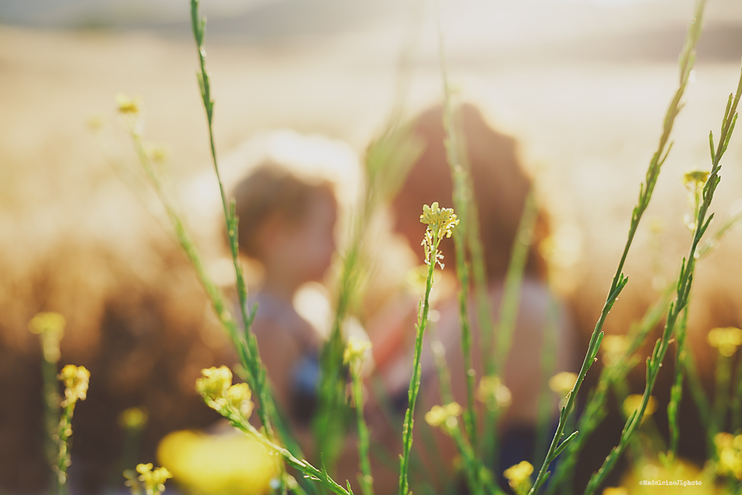 Orange County family session photographer madeleine JL Photography